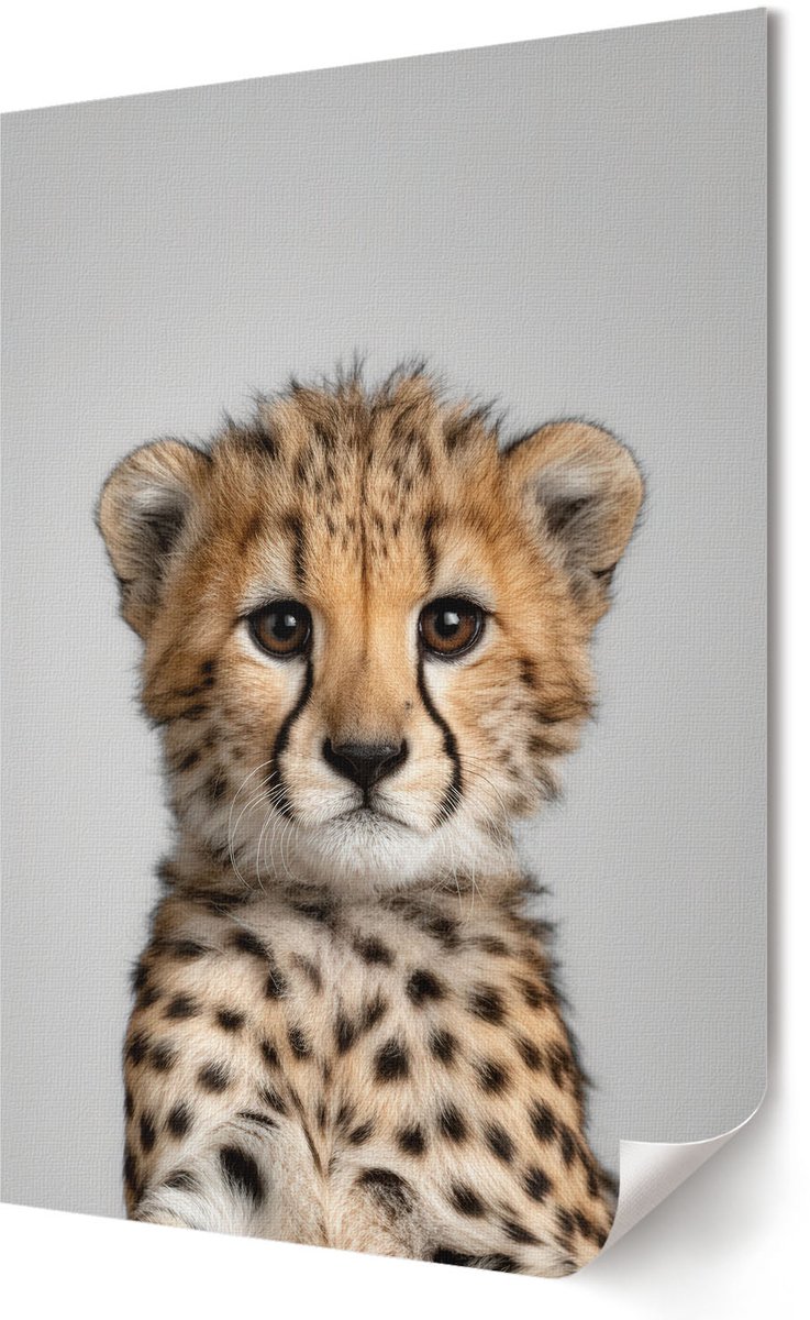 Coloray Polycanvas Wandposter - Jonge Cheetah, Fotografie - 420 x 594 - Beige Poster - Rechthoek - Interieurdecoratie - Woonkamer, Slaapkamer, Kantoor - Modern