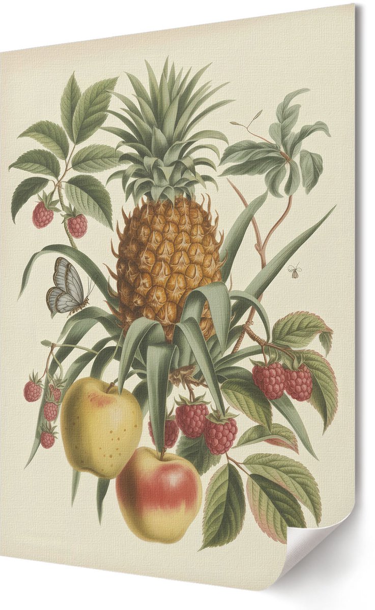 Coloray Polycanvas Wandposter - Botanische Vruchten, Illustratie - 420 x 594 - Groen Design - Rechthoek - Interieurdecoratie - Woonkamer, Slaapkamer, Kantoor - Vintage