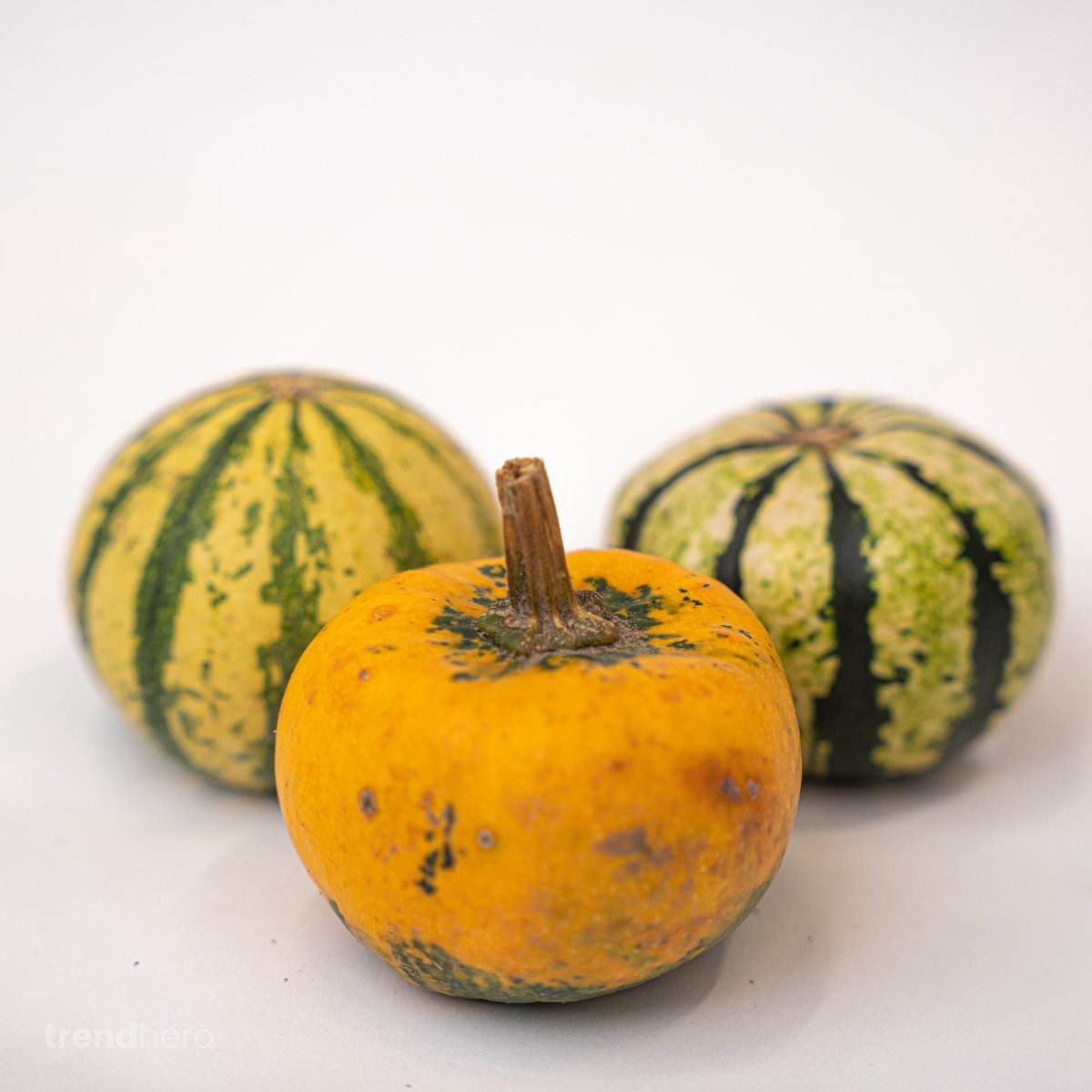 Pumpkin mini set (3 stuks, 6–8 cm)
