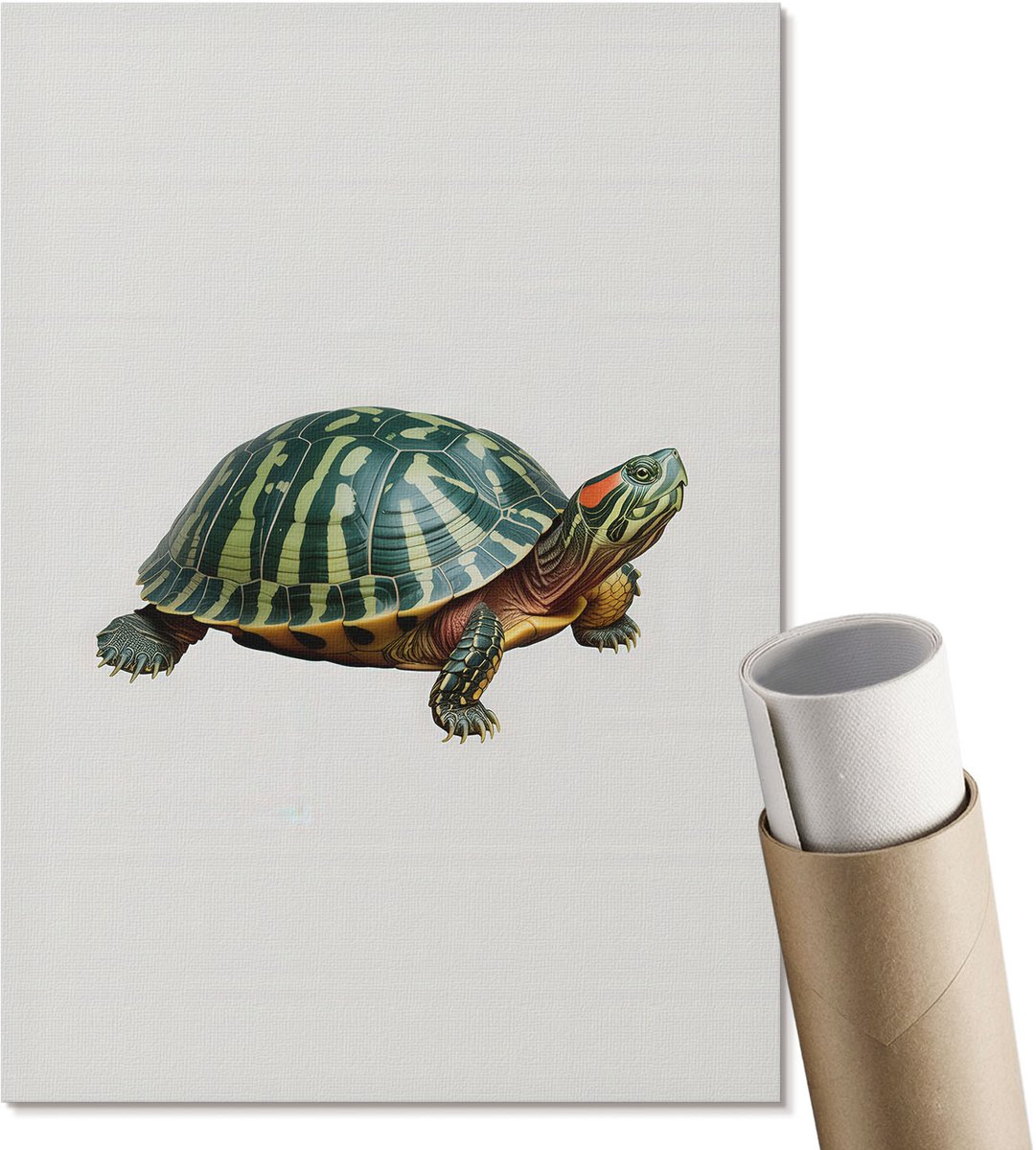 Coloray Polycanvas Wandposter - Schildpad, Illustratie - A4 - Groen Poster - Rechthoek - Canvasposter - Woonkamer, Slaapkamer, Kantoor - Klassiek