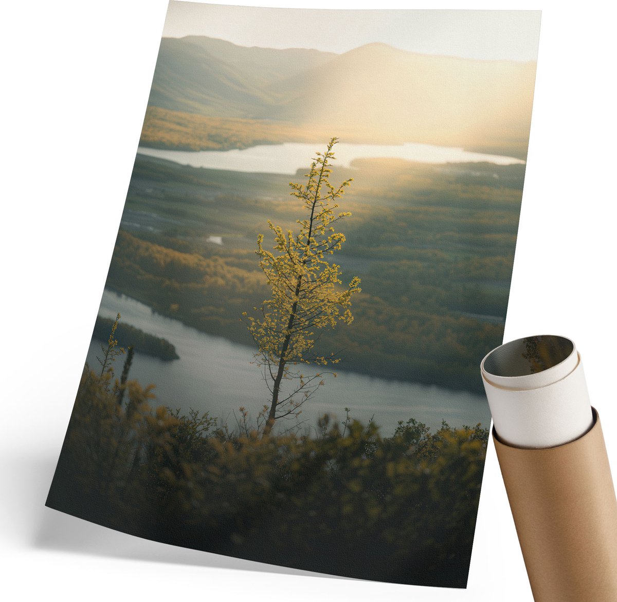 Coloray Polycanvas Wandposter - Natuurlandschap, Fotografie - 210 x 297 mm - Groen Kunst - Rechthoek - Canvasposter - Woonkamer, Slaapkamer, Kantoor - Klassiek