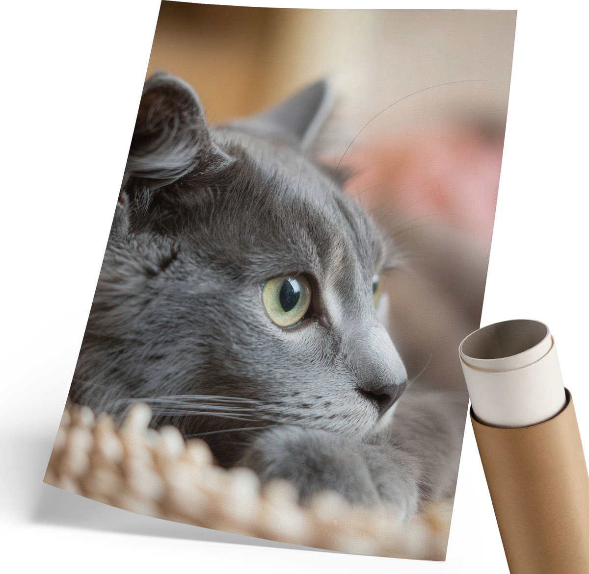 Coloray Polycanvas Wandposter - Grijze Kat, Fotografie - 210 x 297 mm - Grijs Illustratie - Rechthoek - Canvasposter - Woonkamer, Slaapkamer, Kantoor - Klassiek