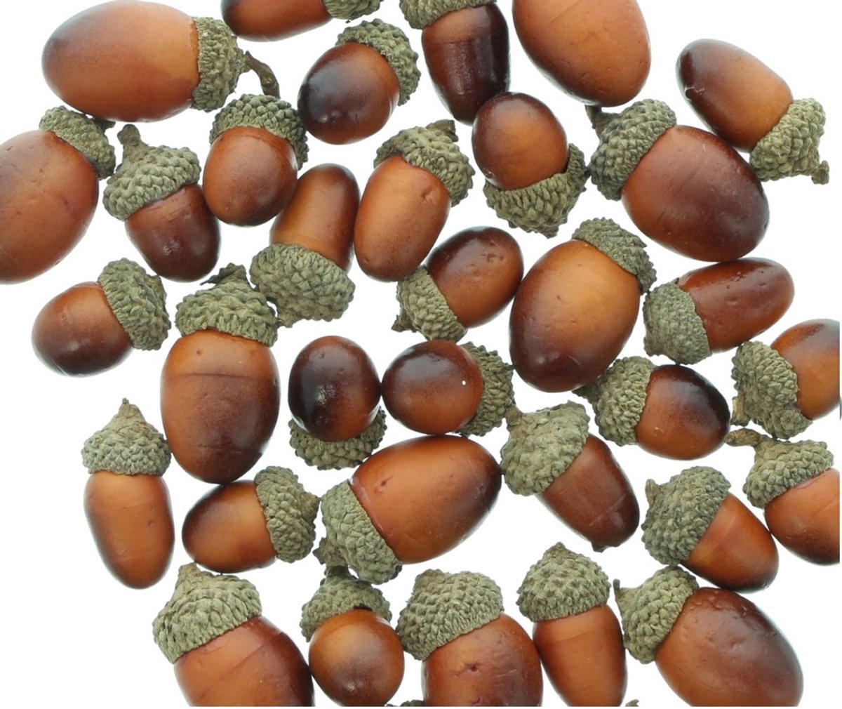 Dream-Living Natuurlijke Eikels – 50 gram voor Sfeervolle Herfstcreaties
