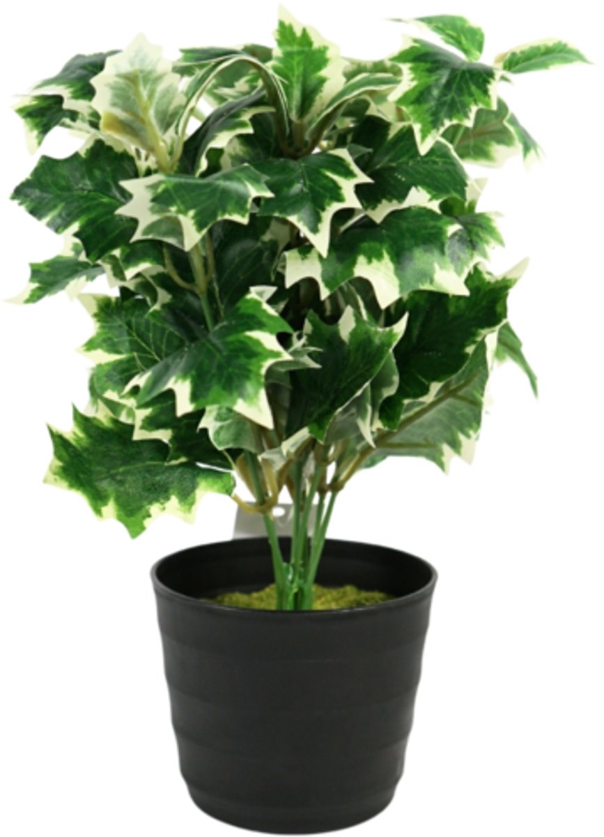 Kunstplant in pot hulst 25 cm