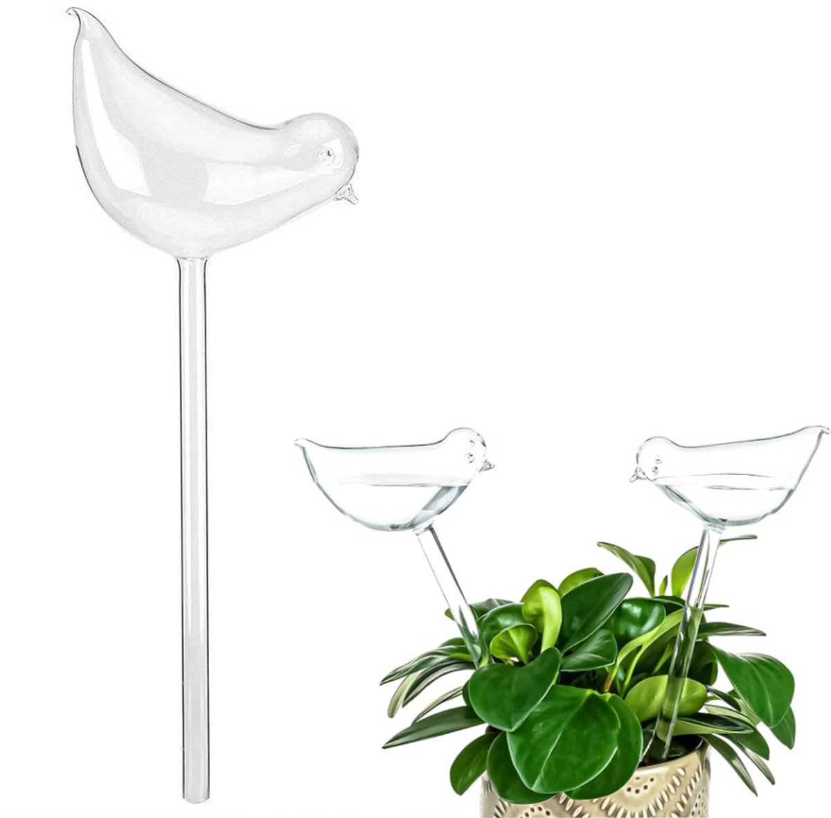 2-delige set - Plantenwaterbal - Glazen waterkan - Automatisch irrigatiesysteem - Vogeldesign - Geschikt planten binnen, op het terras ， in de tuin