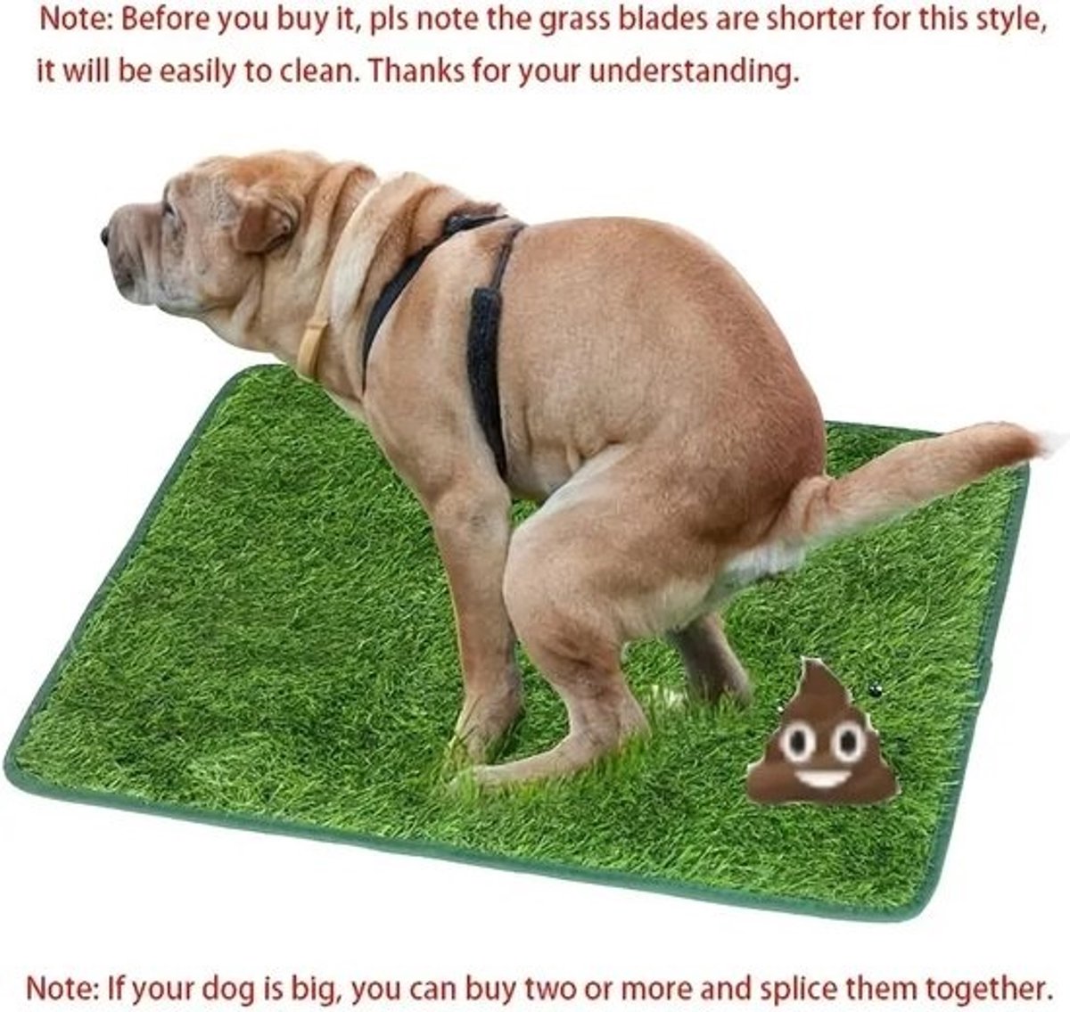 Kunstgras-hondentoiletmat - Wasbare en herbruikbare traininggrasmat - Katten- en hondentoilettraining - Hondenplasmat voor binnen - Groot formaat - 58 x 46 cm - Antigeurtjes - Ondersteunt zindelijkheidstraining