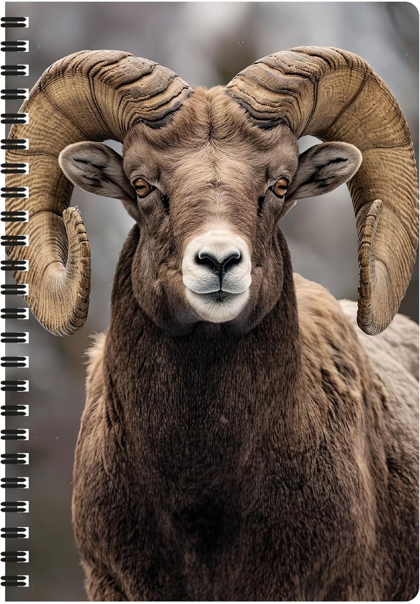 3D LiveLife Notebook - Bighorn Sheep by Deluxebase Spiral Bound Lined Notebook with 80 Recycled Pages, 3D Animal Art - ShopVlot