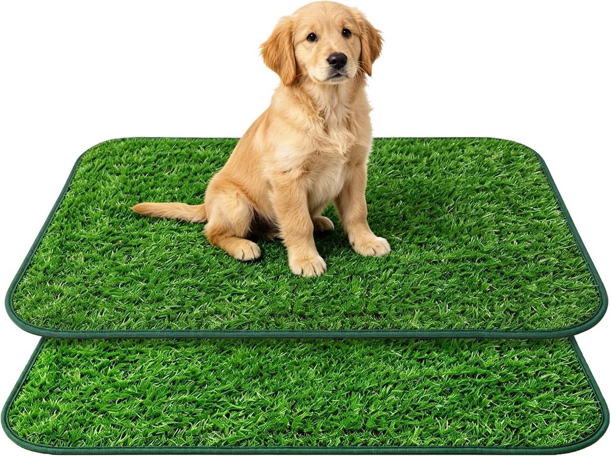 Kunstgras Hondentoilet voor Balkon - 2 Stuks, Herbruikbare Grasmat voor Training, Ideaal voor Kleine en Grote Honden