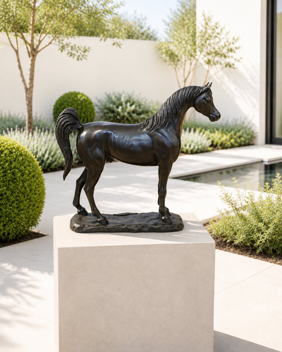 Tuinbeeld - bronzen beeld - Arabisch paard - Bronzartes - 30 cm hoog / paard / arabier / hengst / dierenbeeld