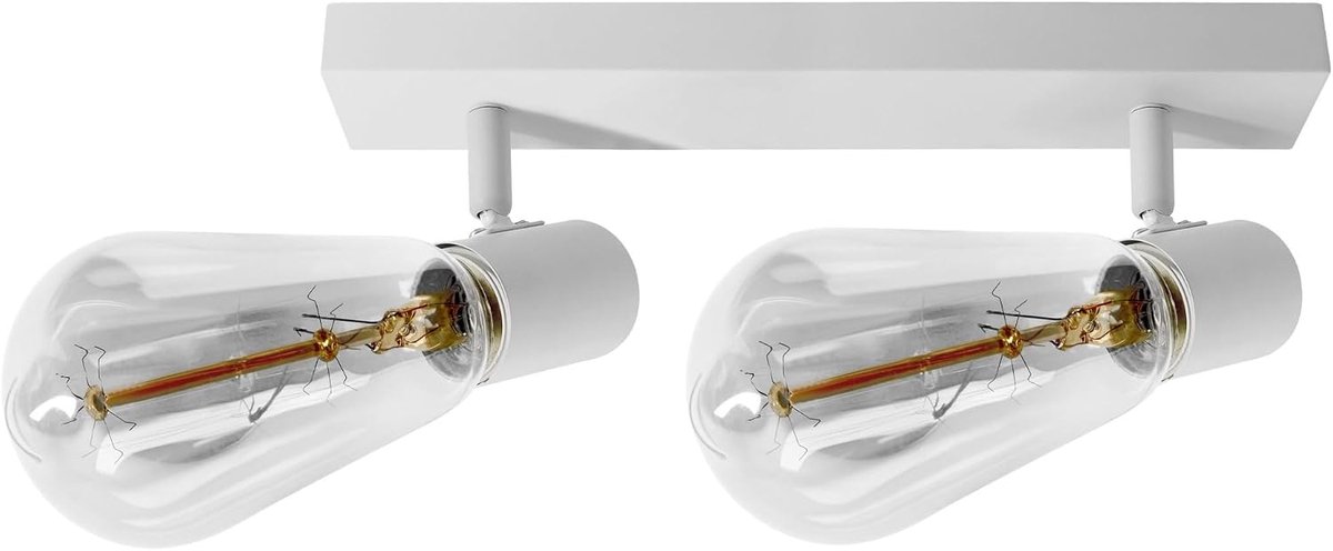 Plafondlamp 60W IP20 Wand- en Plafondlamp - Kleur Wit Lamp Niet Inbegrepen Stijlvolle en Moderne Ceiling Light voor Woonkamer - Slaapkamer - Eetkamer (2x60W)