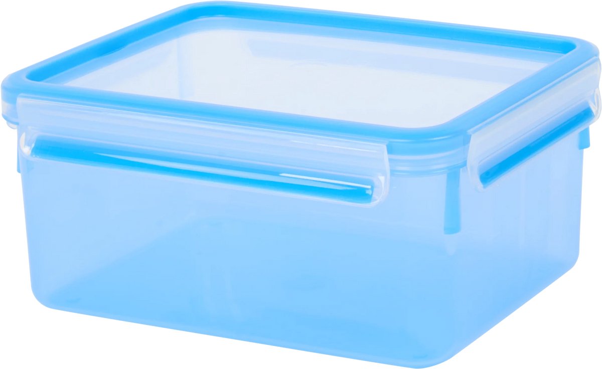 Tefal Masterseal Essential vershoudbakjes set 2-delig, 2 x 2.20L