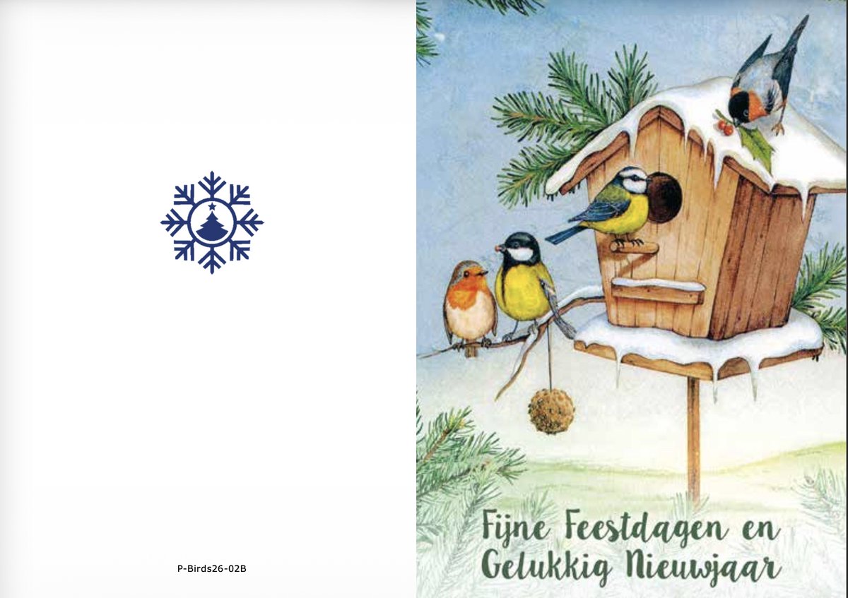 Kerstkaarten box Birds 2