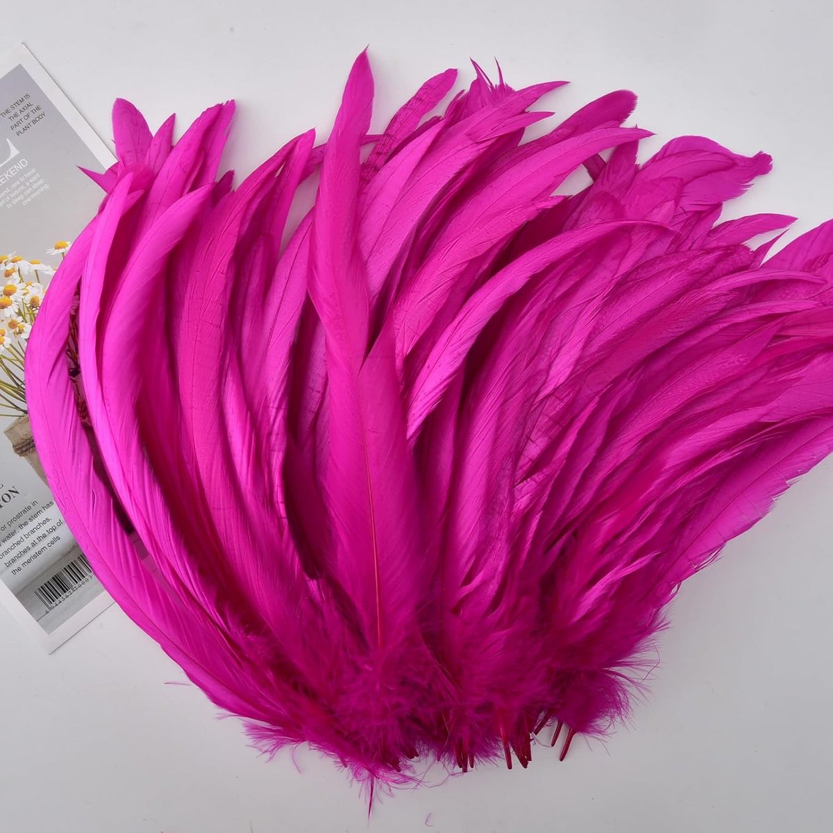 Veren, 25-30 cm, verpakking met 50 stuks, meerkleurig, gedempt voor carnaval, Halloween, bruiloft en dromenvanger, handgemaakt, wit, fuchsia
