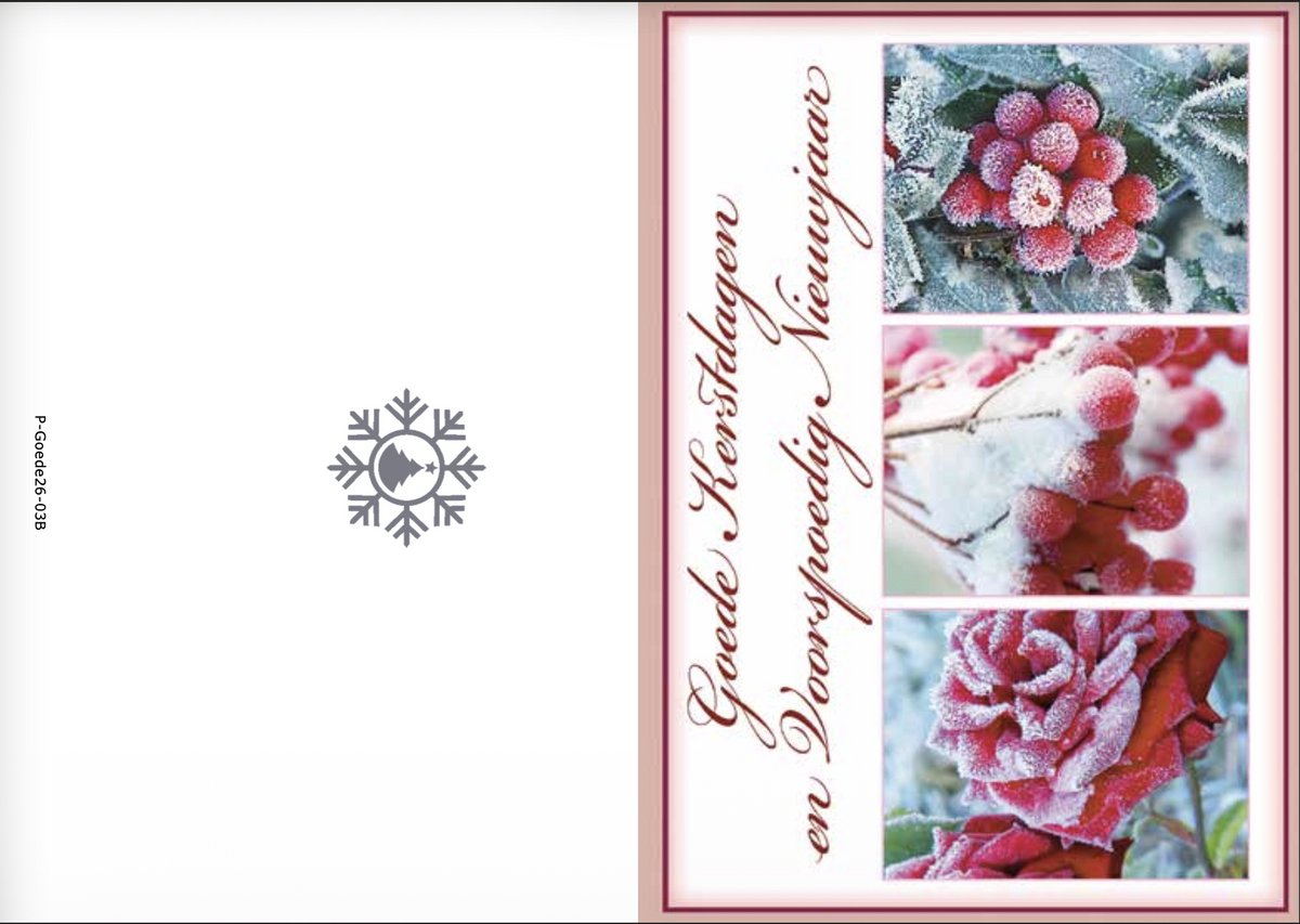 Kerstkaarten box Goede 4