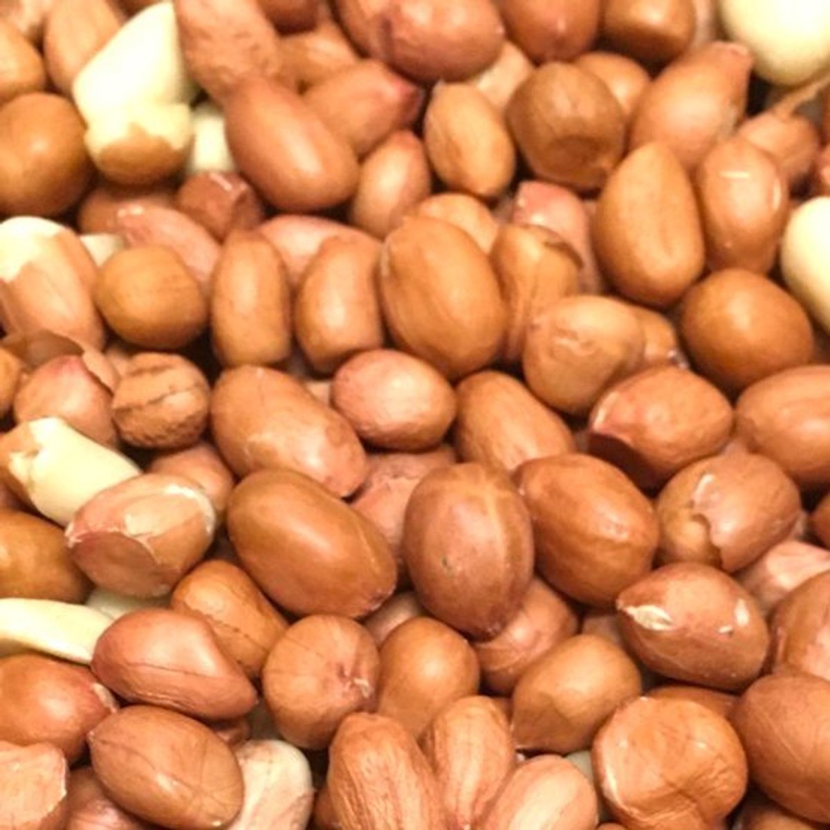 Gepelde Pinda’s voor Vogels - 20kg (4x5kg) - Vers - Vogelvoer