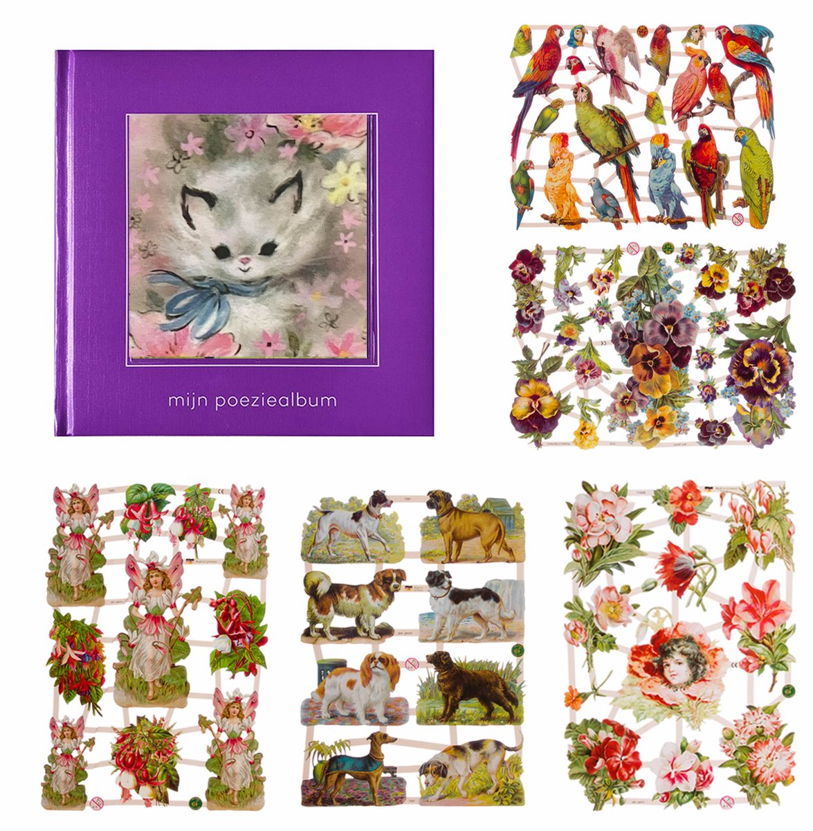Poëziealbum - 16x16 - paars met witte kat - met 5 vellen Poëzieplaatjes
