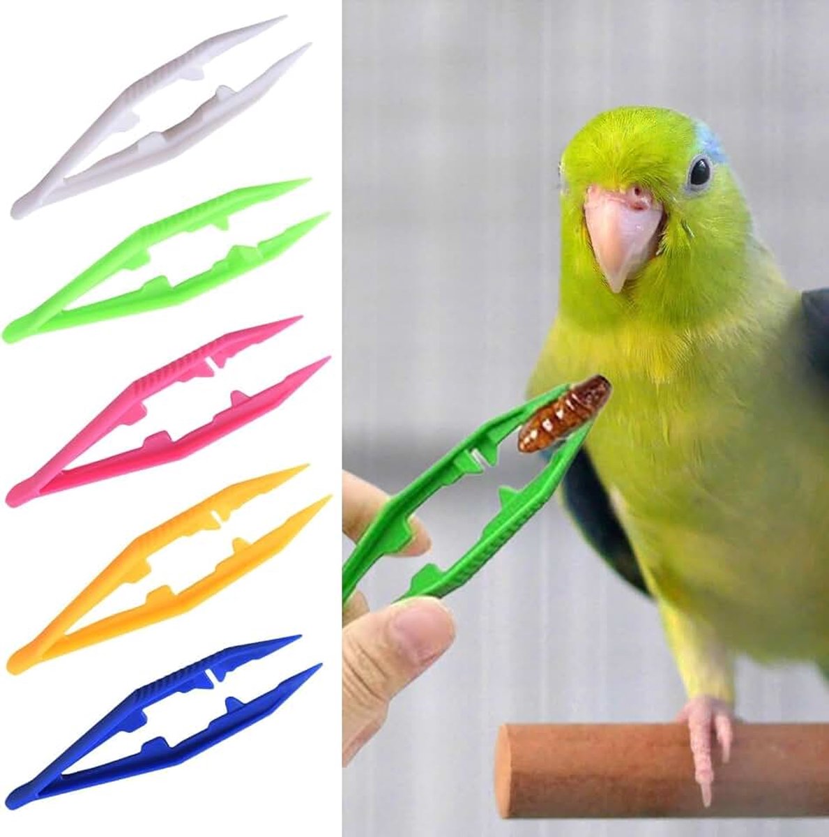 5 stuks kunststof pincetten voor het voederen van reptielen, kunststof voering, reptielang, voerpincet voor slangen, hagedis, schildpad, gekko, kinderpincet voor kralen, kinderhandm