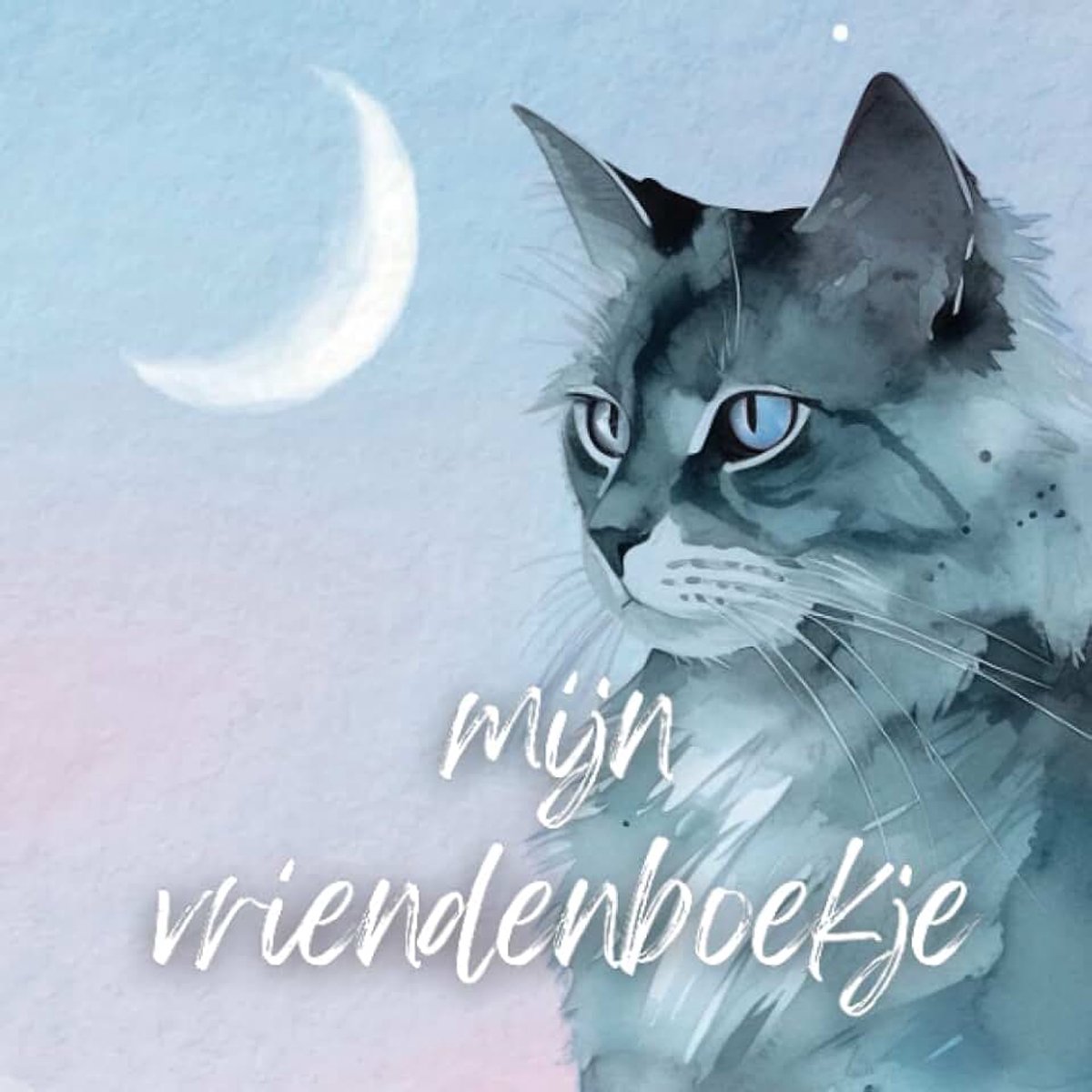 Vriendenboekje Kittens & Pastel