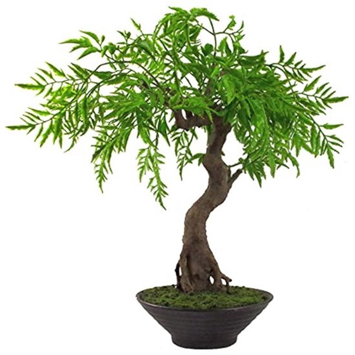Kunst Bonsai Boom - Mini Ficus - Decoratie Binnen - Beweegbare Takken - 45cm Hoog - Groen