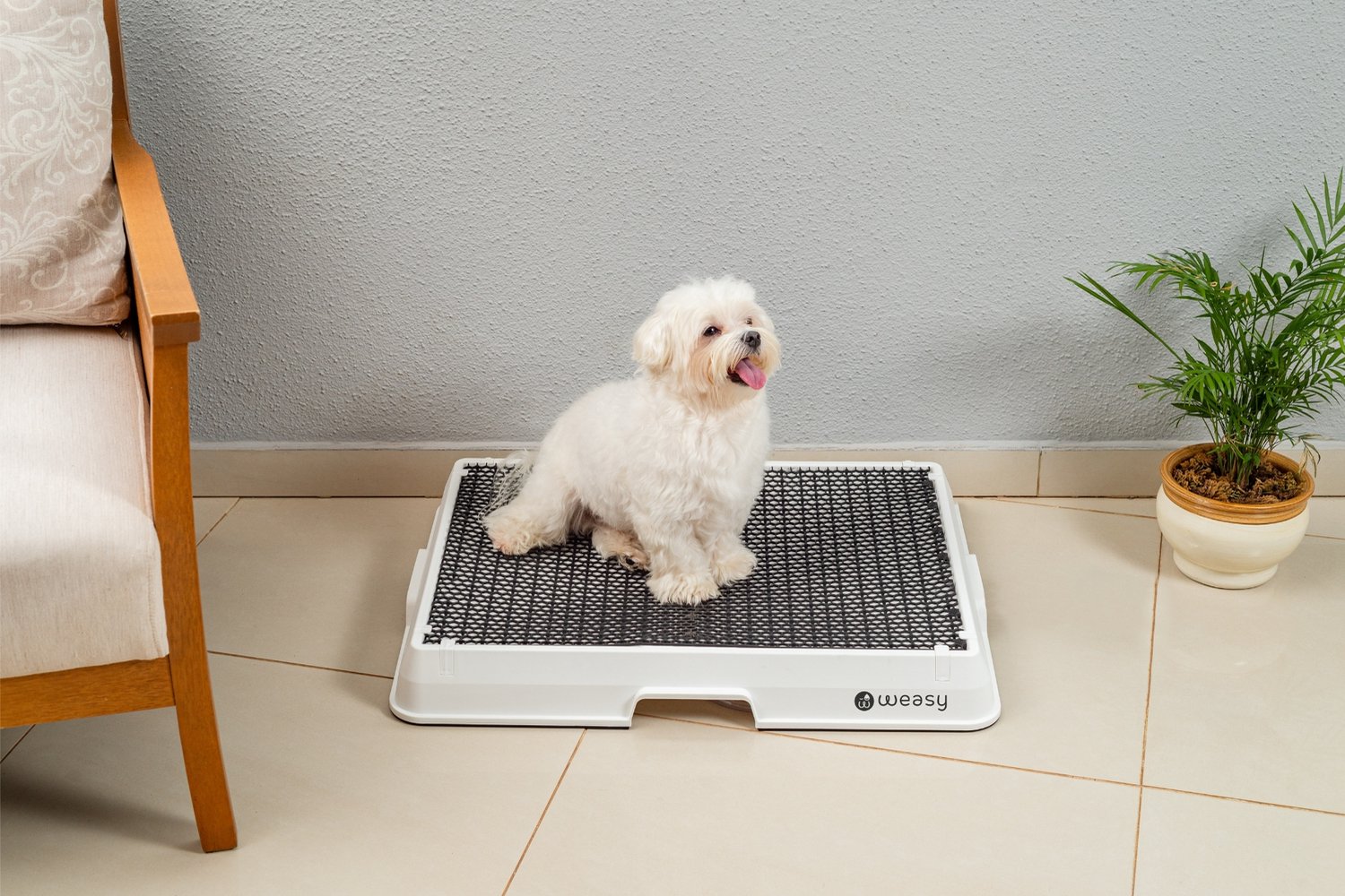 Weasy – Slim potje voor honden - Wit en grijs – Klein – Met Weasy Bag en synthetische grasmat