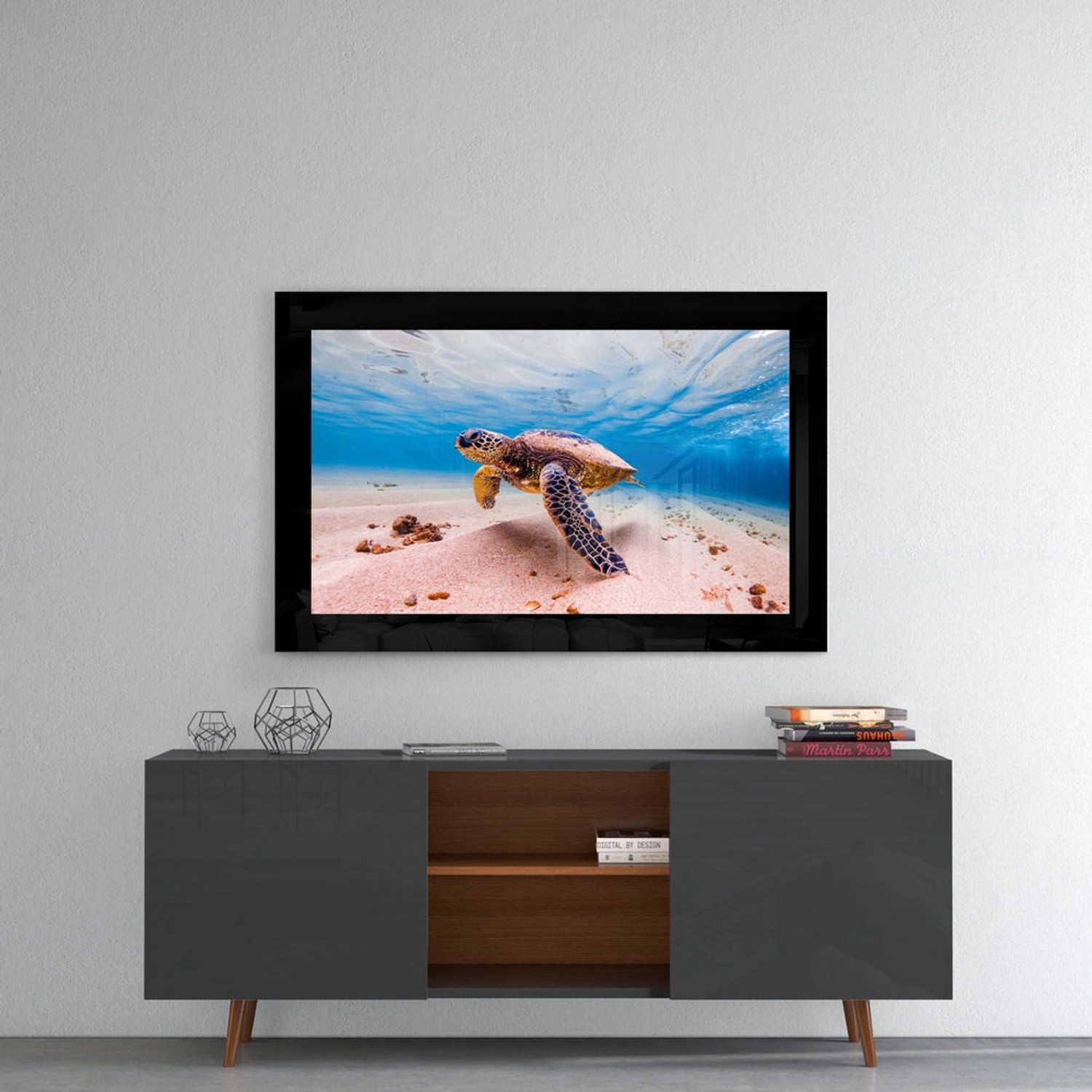 Glasschilderij – Schildpad – Stijlvolle Wanddecoratie