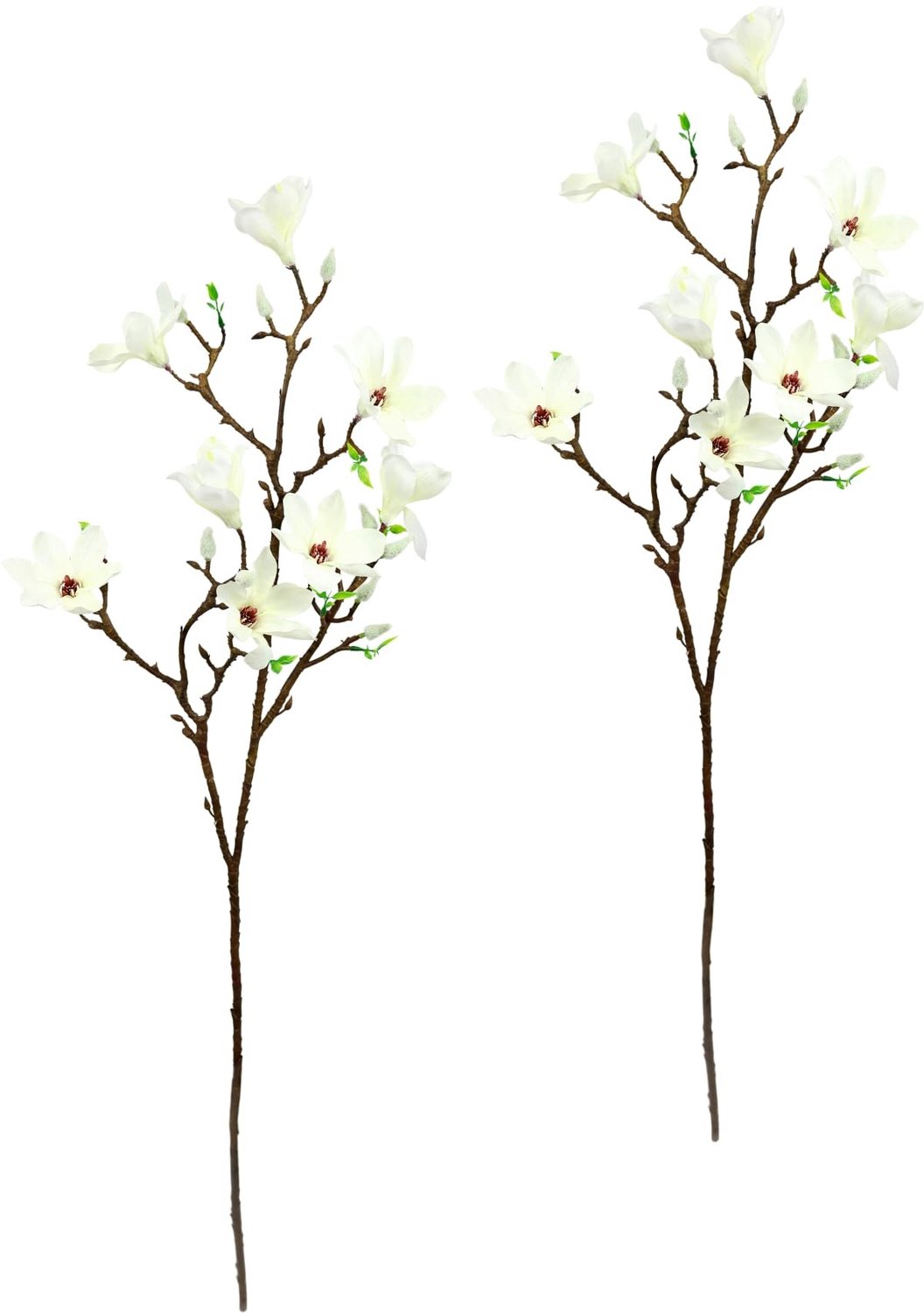 Kunstmatige Magnolia Tak voor Decoratie