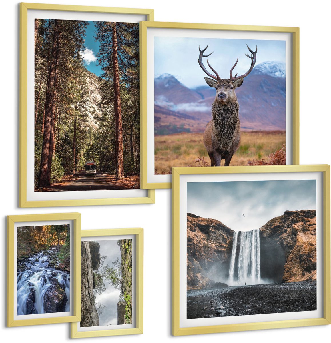 Coloray 5-Delige Schilderij Set - Natuurlandschappen Met Watervallen En Wilde Dieren - 50 x 50 cm, 20 x 30 cm En 40 x 60 cm - Moderne Wanddecoratie - Woonkamer