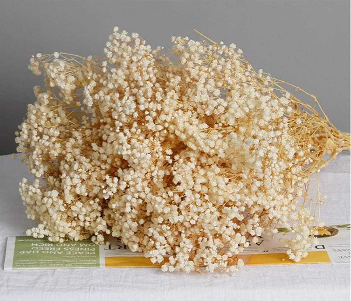 Inovra Plus - Droogbloemen boeket - Natuurlijke Gypsophila voor langdurige vaasarrangementen en huisdecoratie - Feesten en bruiloften - Wit - DIY decoreren met droogbloemen