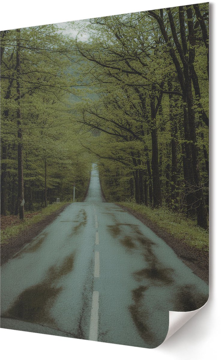 Coloray Polycanvas Poster - Zwart-Witte Straat, Fotografie - A3 - Zwart-wit Wanddecoratie - Rechthoek - Wandkunst - Woonkamer, Slaapkamer, Kantoor - Klassiek