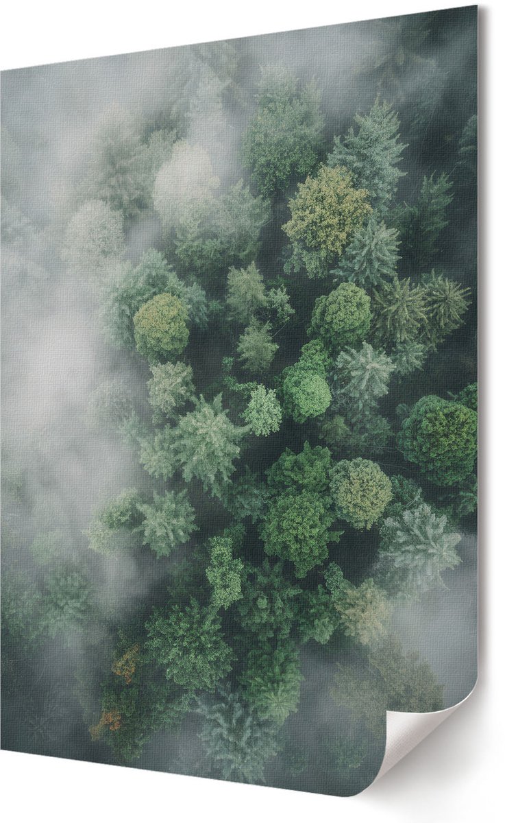 Coloray Polycanvas Wandposter - Rustig Strand, Fotografie - A3 - Wit Motief - Rechthoek - Muurkunst - Woonkamer, Slaapkamer, Kantoor - Klassiek