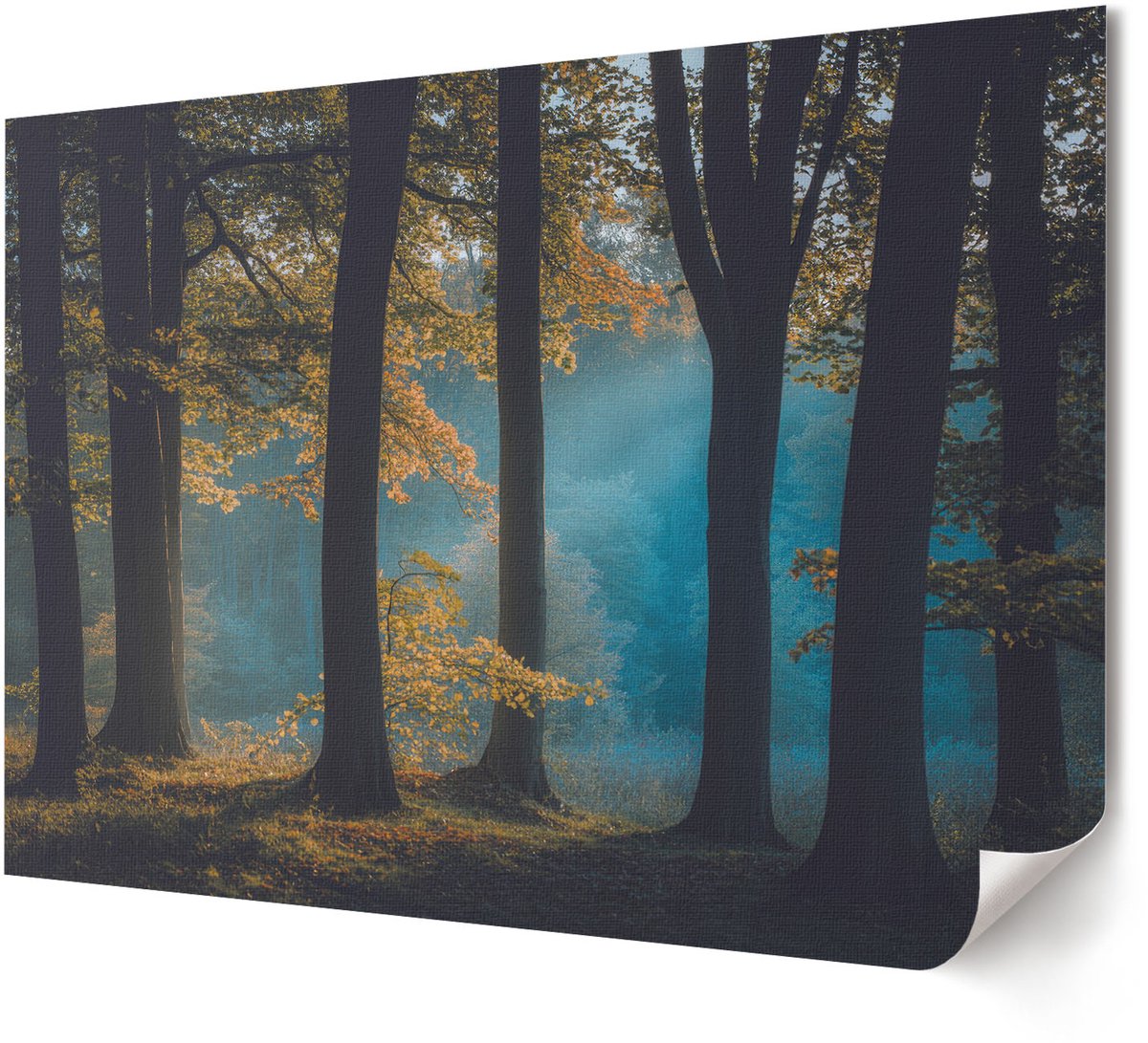 Coloray Polycanvas Wandposter - Waschanstalt Zürich, Poster - A4 - Zwart Poster - Rechthoek - Wandkunstwerk - Woonkamer, Slaapkamer, Kantoor - Retro