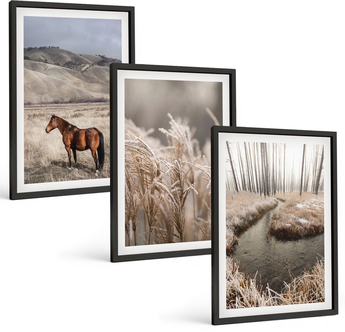Coloray 3-Delige Schilderij Set - Paarden In Een Landschap Met Grassen En Een Winterbeek. - 40 x 60 cm - Stijlvolle Muurdecoratie - Slaapkamer - Interieur Decoratie