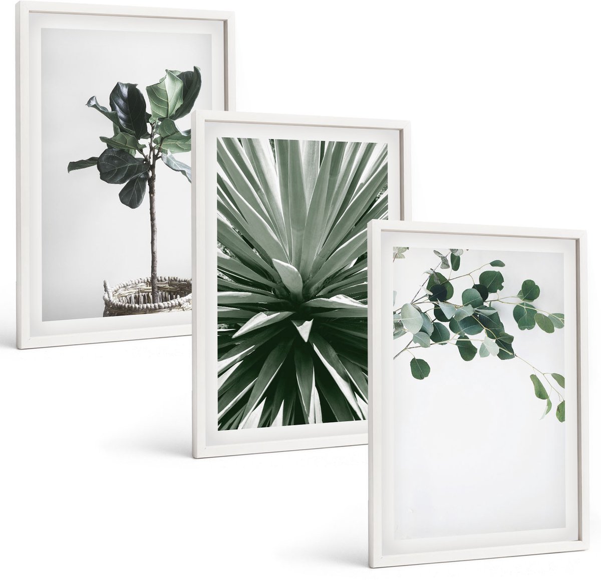 Coloray 3-Delige Schilderij Set - Groene Planten In Een Minimalistische Stijl - 40 x 60 - Wanddecoratie - Woonkamer Decoratie - Moderne Wanddecoratie