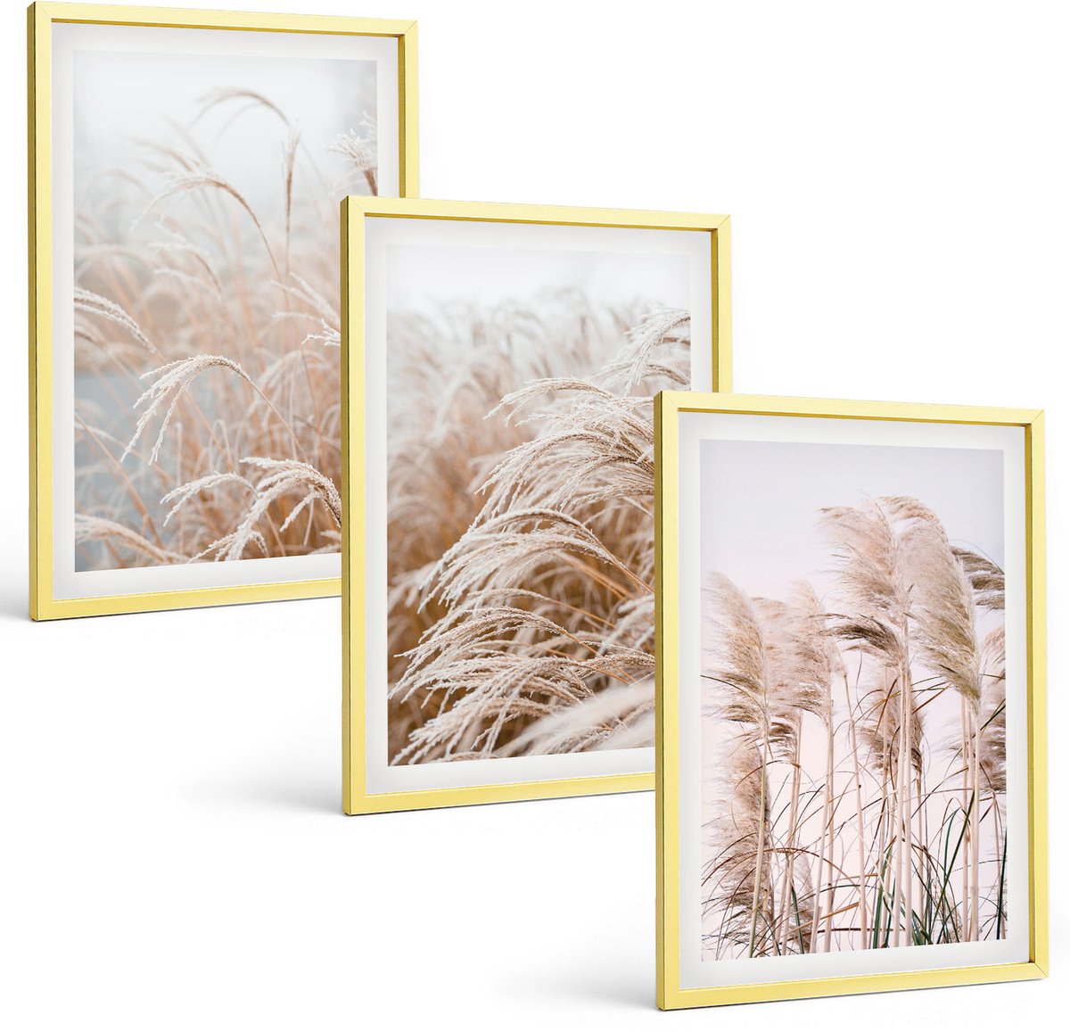 Coloray 3-Delige Schilderij Set - Plantenpatronen Met Bloemen En Bladeren (Posters) - 40 x 40 cm En 40 x 60 cm - Decoratieve Muurdecoratie - Slaapkamer - Stijlvolle Muurdecoratie