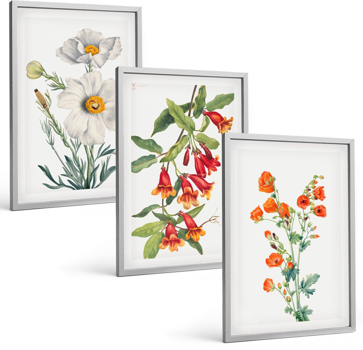 Coloray 3-Delige Schilderij Set - Bloemcomposities Retro Vintage Schilderij - 40 x 60 cm - Muurdecoratie - Wanddecoratie - Hal - Woonkamer Decoratie