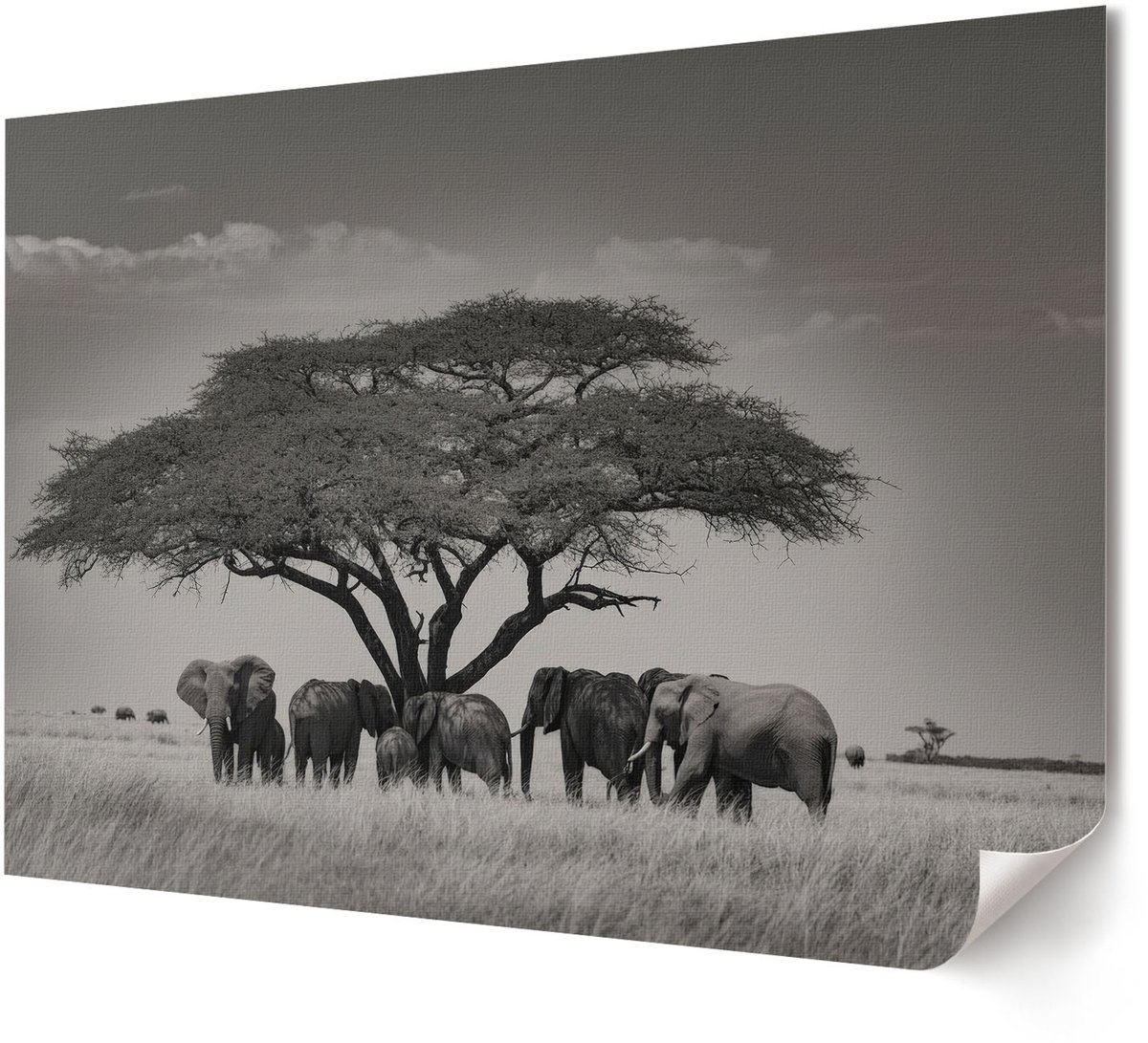 Coloray Polycanvas Wandposter - Moderne Architectuur, Fotografie - A4 - Zwart Illustratie - Rechthoek - Muurkunst - Woonkamer, Slaapkamer, Kantoor - Modern