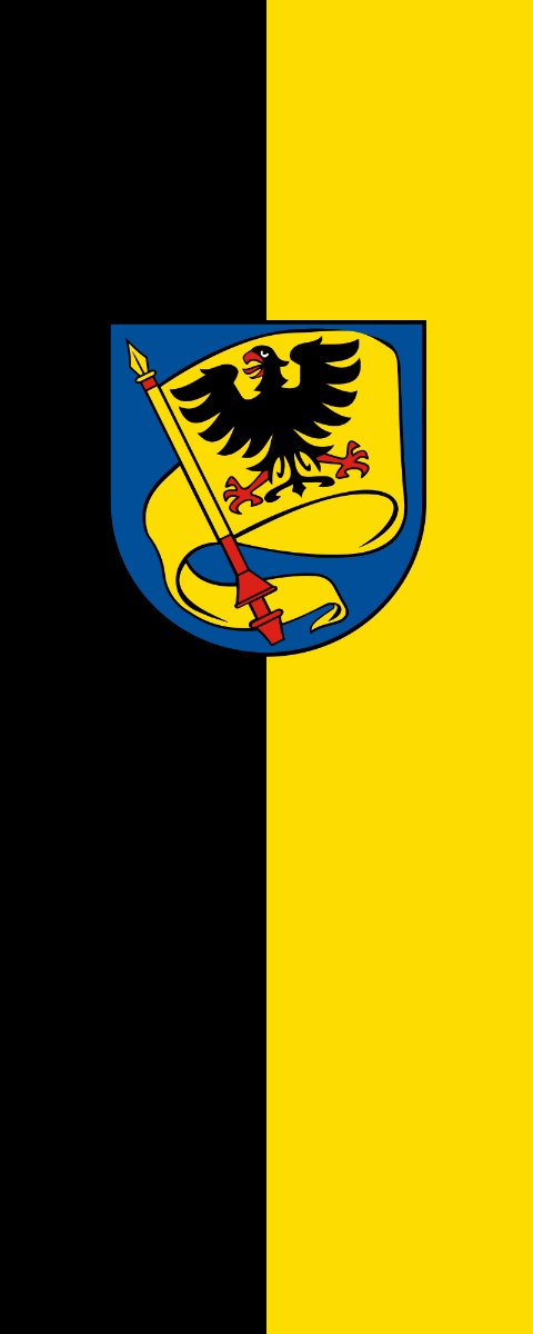 Vlag Ludwigsburg 200x300cm