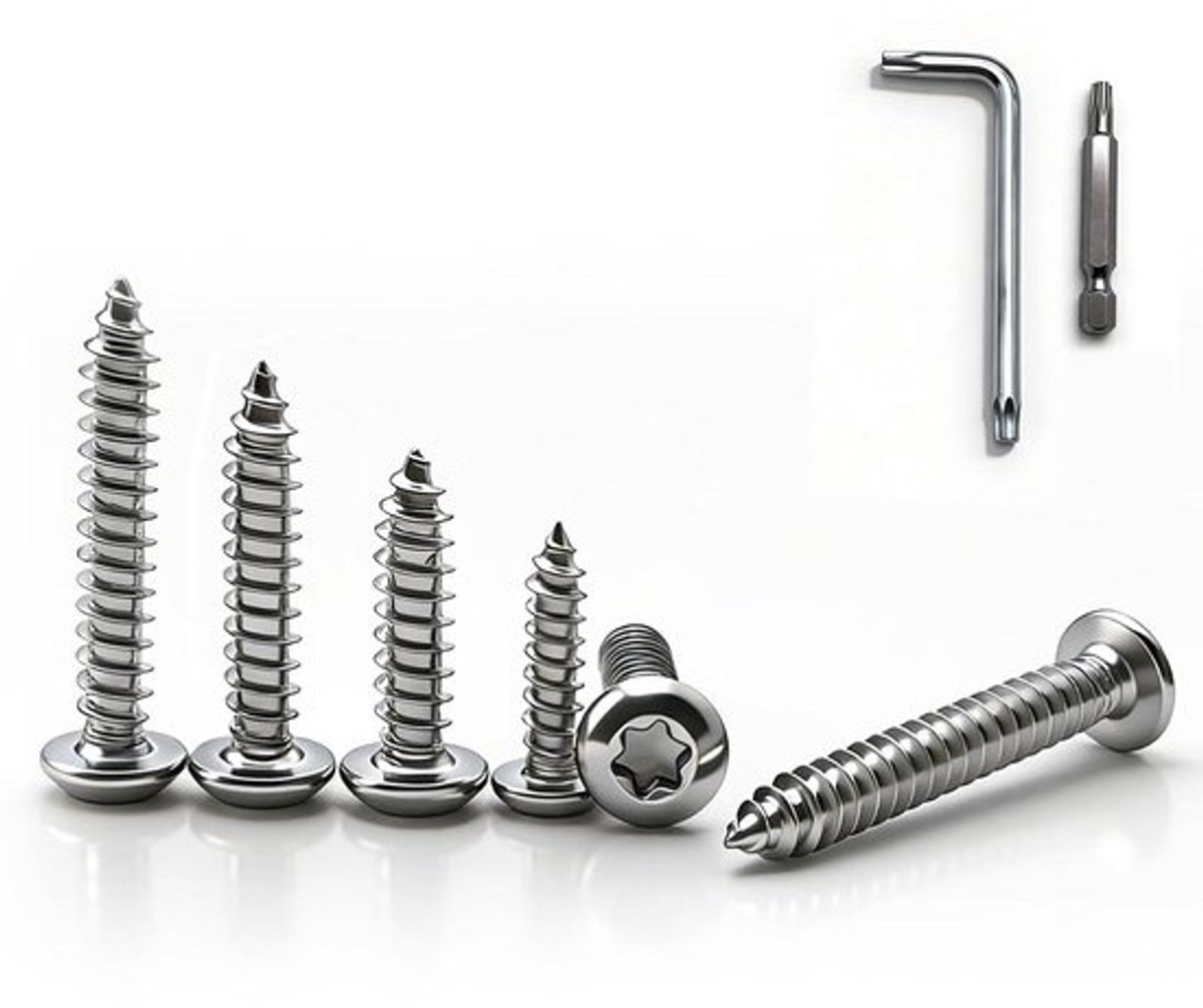 Plaat schroeven - Zelftappend - Voor vaste projecten - Roestvrij staal - M5 x 30 mm - 60 stuks - Zilver