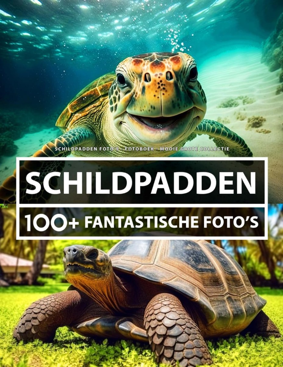 Schildpadden Foto's - Fotoboek - Mooie Grote Collectie: 100+ Geweldige Afbeeldingen - Voor Kinderen En Volwassenen - ShopVlot