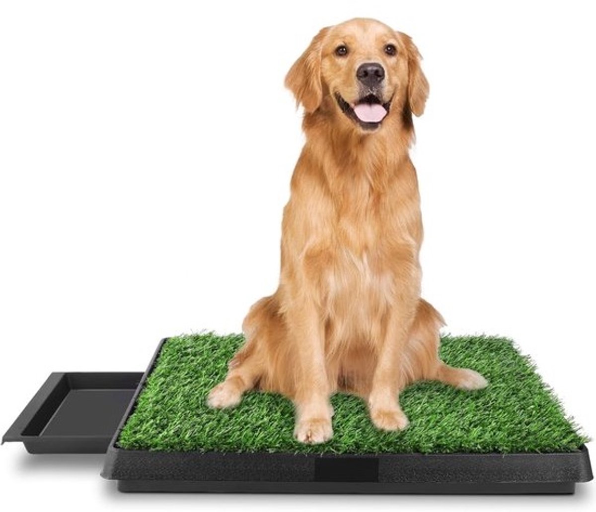 Hondentoilet met kunstgras - Puppyplasbak - Voor zindelijkheidstraining - Verbeterde gazonversie - 63 x 50 cm - Groen
