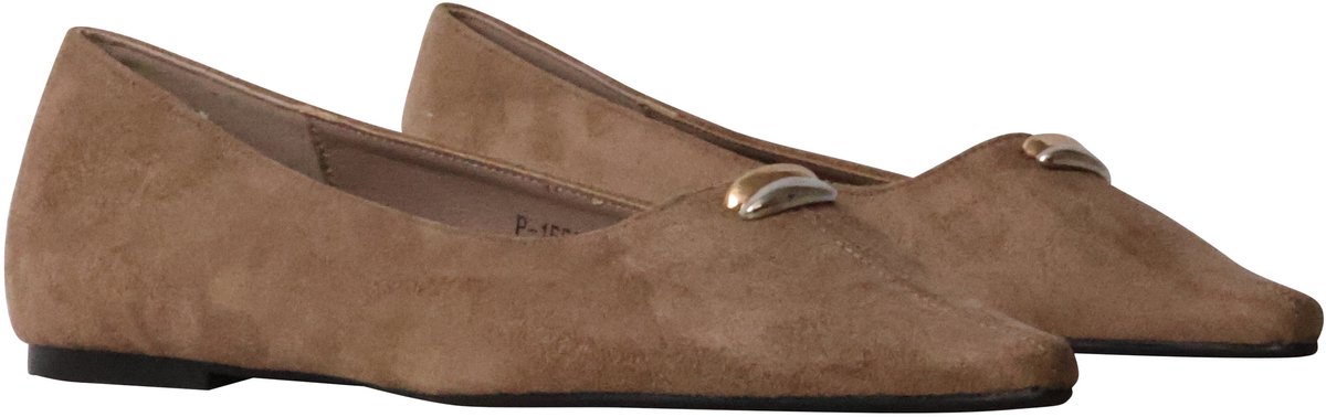 Ballerinaschoenen om aan te trekken