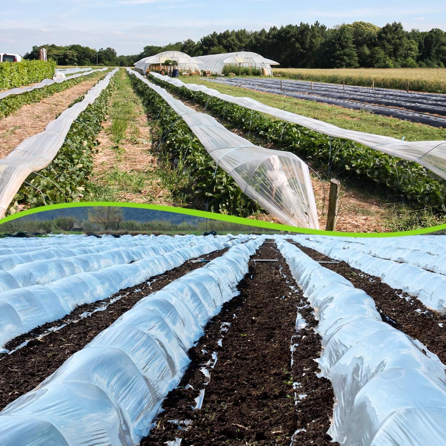 Famanu – Broeikasfolie van 3 x 10 m, winterbestendig, transparant, ideaal voor tuinieren en tomatenkassen