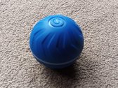 Interactieve Bewegende Hondenbal Voor Puppy En Kleine Hond - Blauw