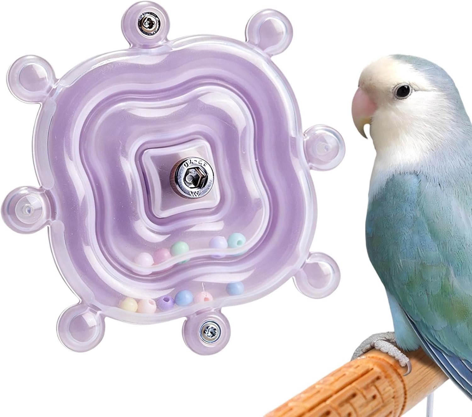 Voor Vogels Roterende Dwergpapegaaien Training