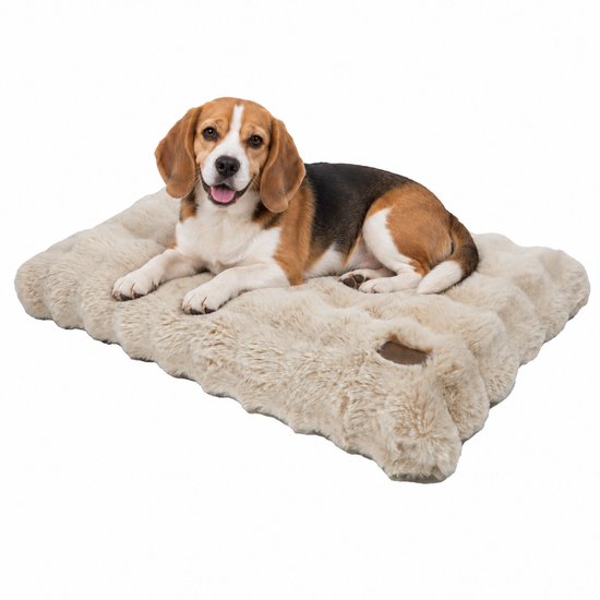 Beagle ligt op een beige pluche hondenbed op een witte achtergrond.