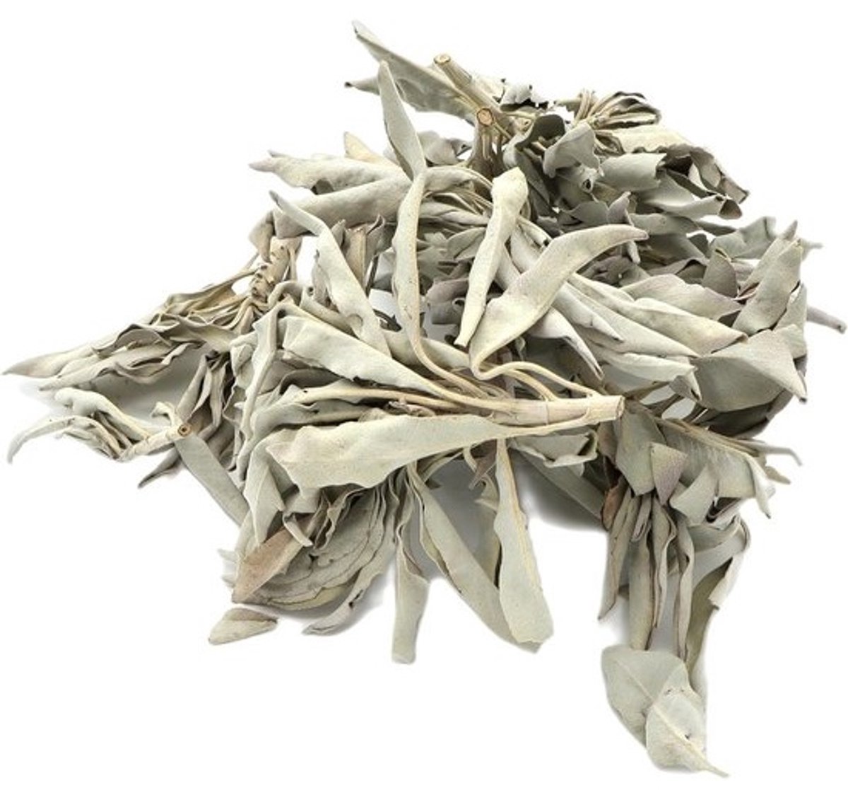 Witte Salie Losse Bladeren (100g) voor Zuivering, Wierook en Meditatie