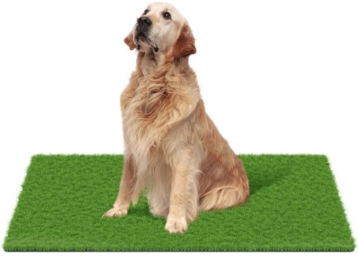 Grote Kunstgras Deurmat Buiten en Binnen | Duurzaam Gras Tapijt voor Honden Trainingsmat