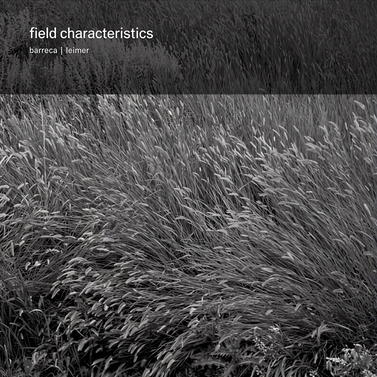 Marc Barreca & K. Leimer - Field Characteristics (CD)