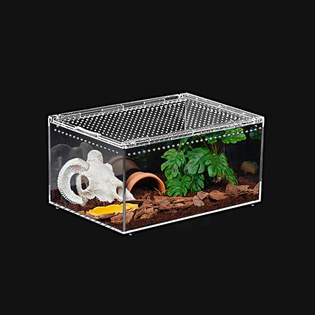 Terrarium 30 x 20 x 15 cm, Vogelspin Terrarium, Spin Tank Starterset, Eremietkreeften Habitat, Insectenhuis, Springende Spin Kooi