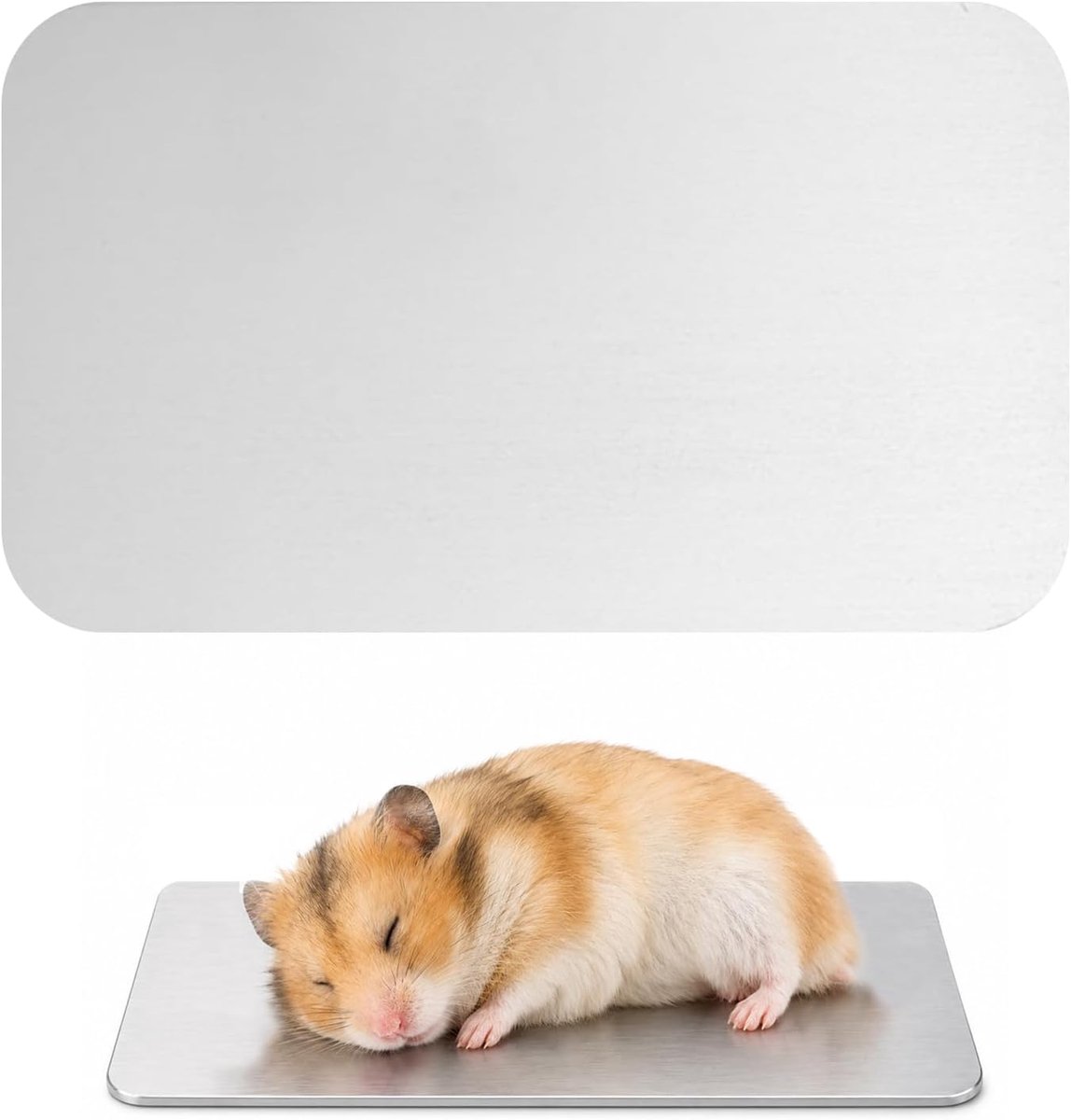 1 stuk 12 x 8 cm, glad en gemakkelijk te reinigen oppervlak, ideaal voor cavia's, chinchilla's en dwergkonijnen (zilver)